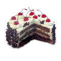 szwardz-1-1200x1200px.png
